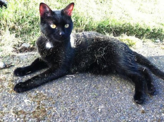 He got so dirty I soon regretted my decision. 