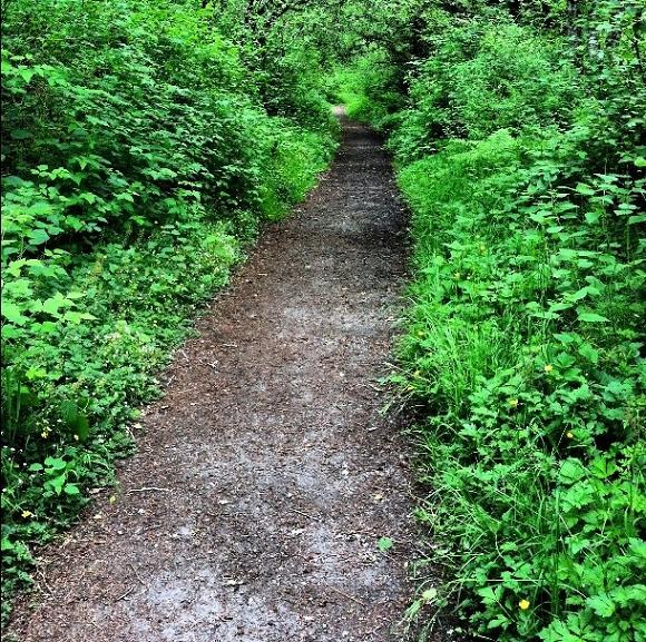 Too out in the open.