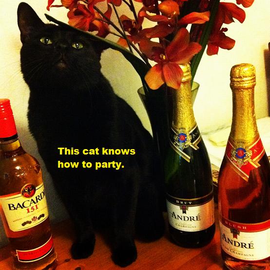 My best friend sent me this picture on NYE, it made my day.