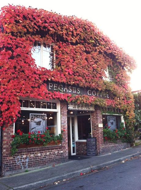 How neat is this building? I want to live here. 