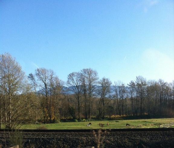 With views like this a long car ride is tolerable. 