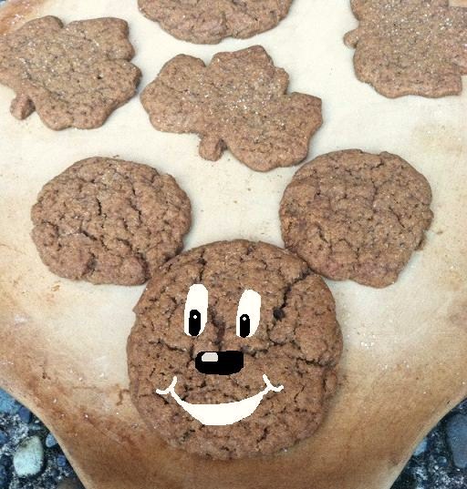 I had to...because I am 12. 