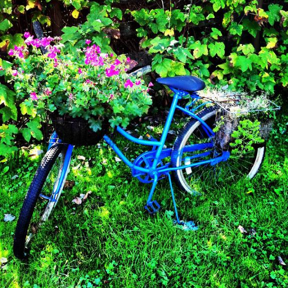 If you're worried about falling off the bike, you'll never get on.