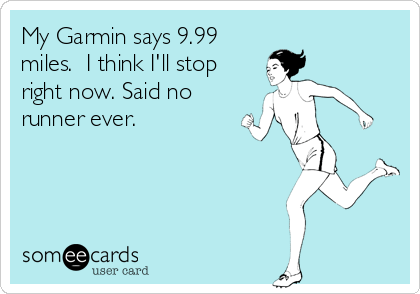 garmin