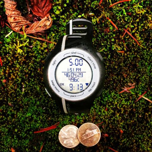 Will run faster for money. 