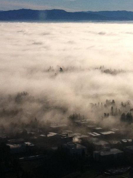 This will never get old. Fog laying on tree lines is my favorite. 