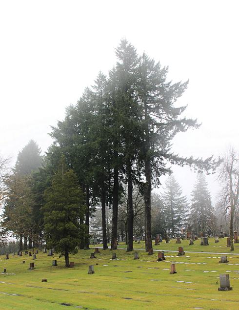 Portland Feb 2014 007a