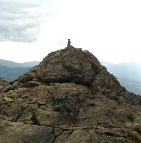 1966954_10152465665699049_2287039796149149997_n