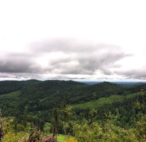 I just can't get enough!