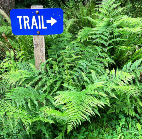 20140524-171632-62192622