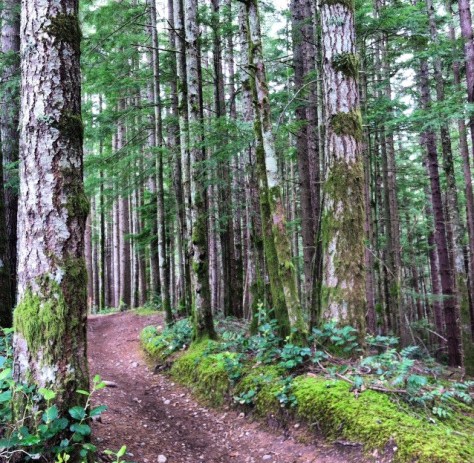 20140524-172545-62745067