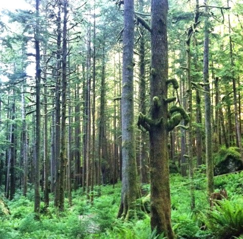 20140607-091639-33399289