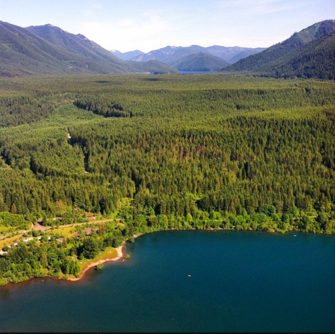 The trifecta: Mountains, trees, and water.