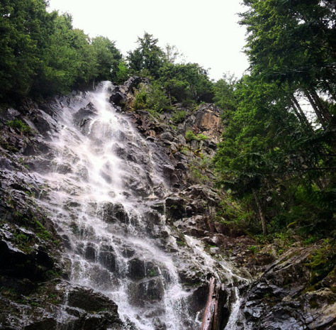 20140615-161340-58420507