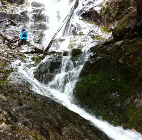 20140615-161342-58422747