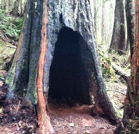 Who wants to throw a housewarming party in here?