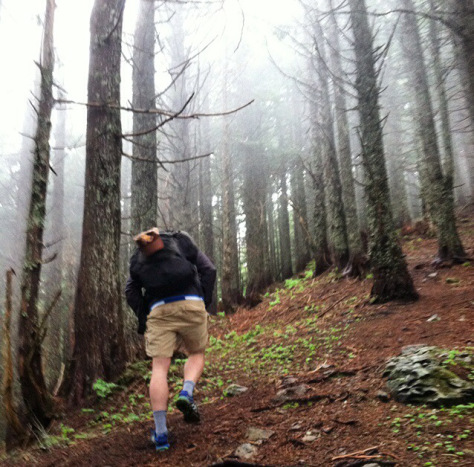 Into the clouds we go.