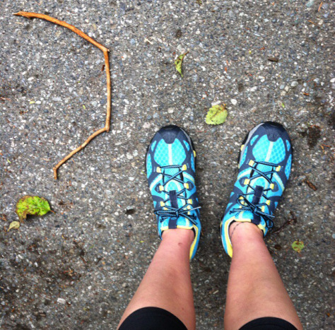 Latest purchase, day hike trail shoes. They survived this glorious misadventure.