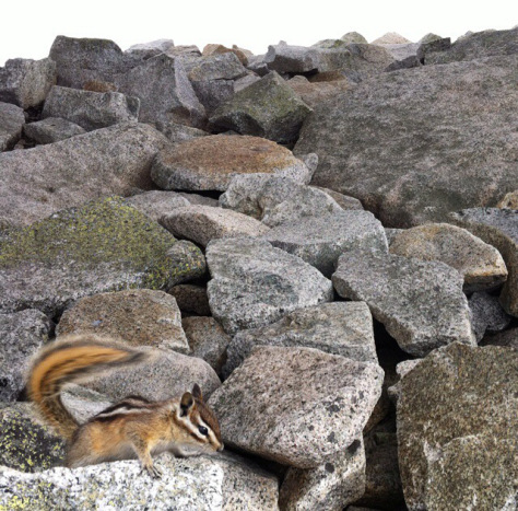 20140619-192735-70055821