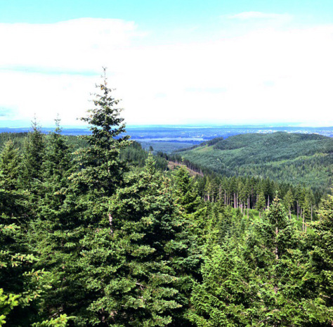 20140629-141354-51234708