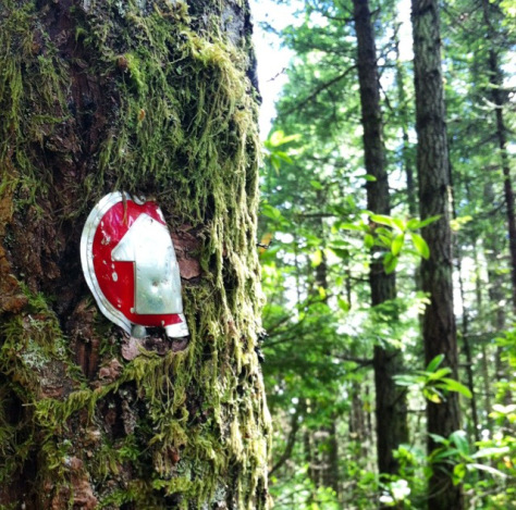 20140629-141355-51235988