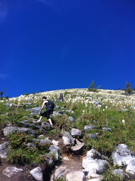 20140701-120750-43670302