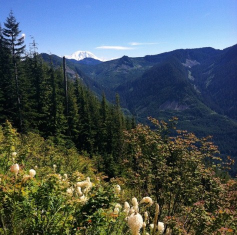 20140701-121106-43866835