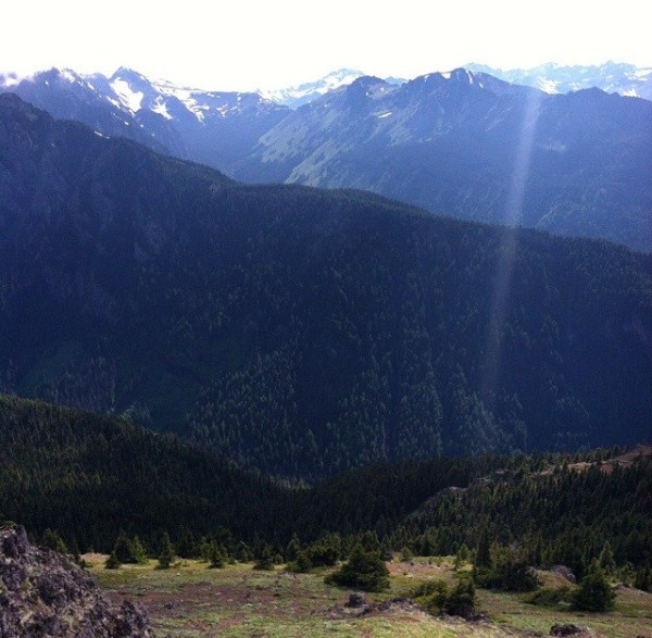 20140704-140031-50431072