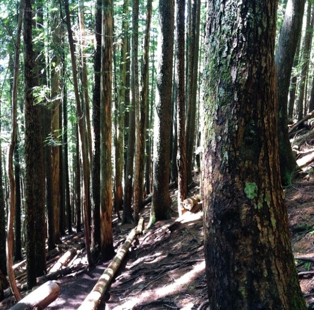 Can you see the marker?