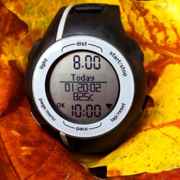 The unplanned 8 miler.