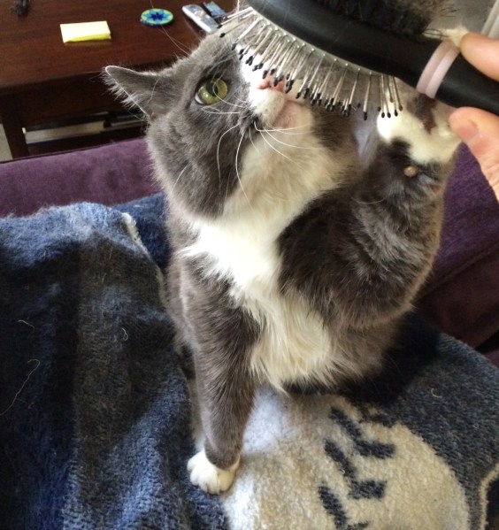 Said goodbye to this guy...