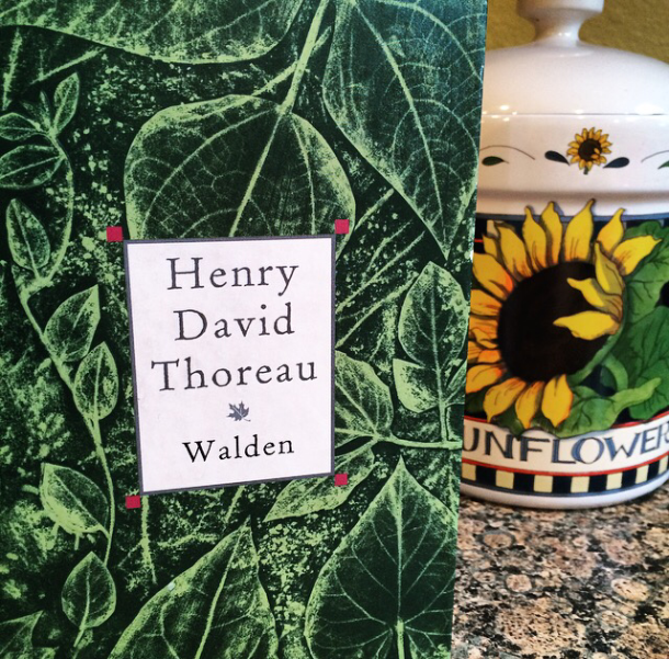 My current read. A classic about a man that escapes to the woods to live off the grid before it was 