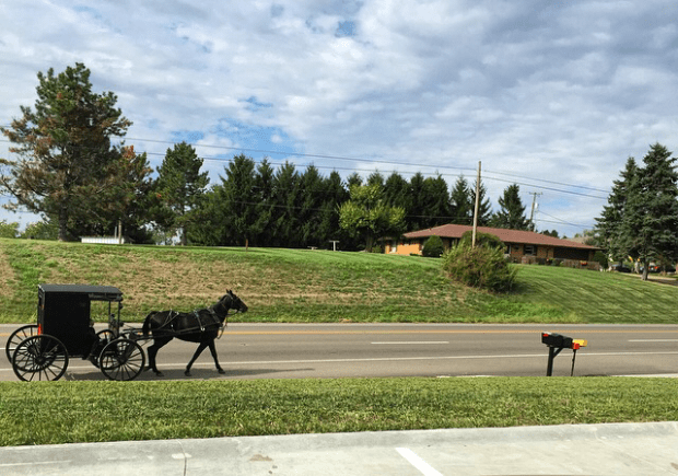 PC Meghan, a true horse and buggy. 