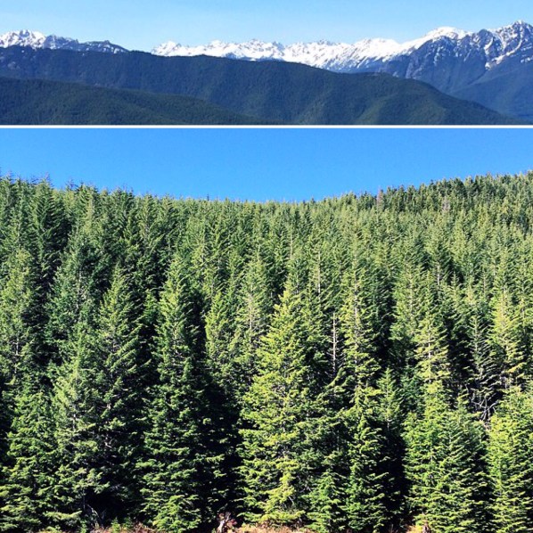 0223565d-6e42-46ec-85a4-081ff1b6a16c