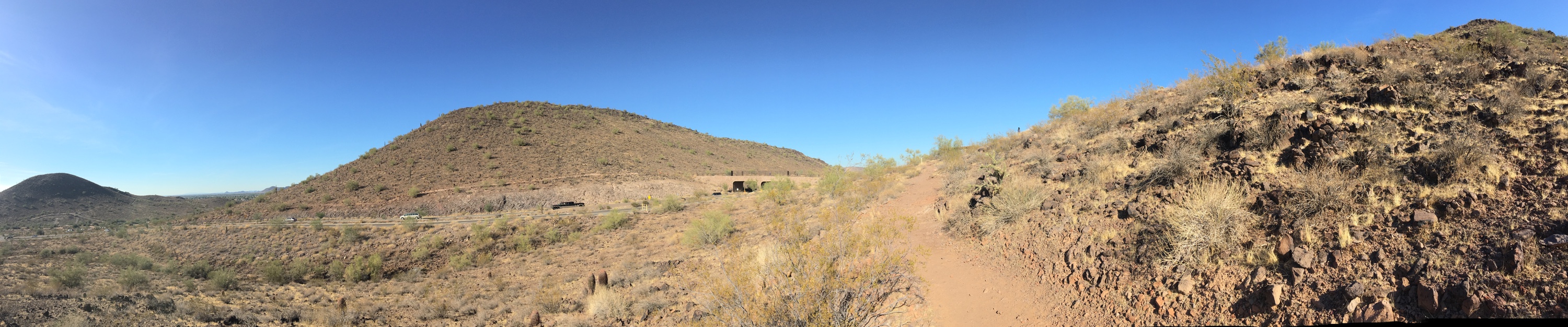 image_538190781168026