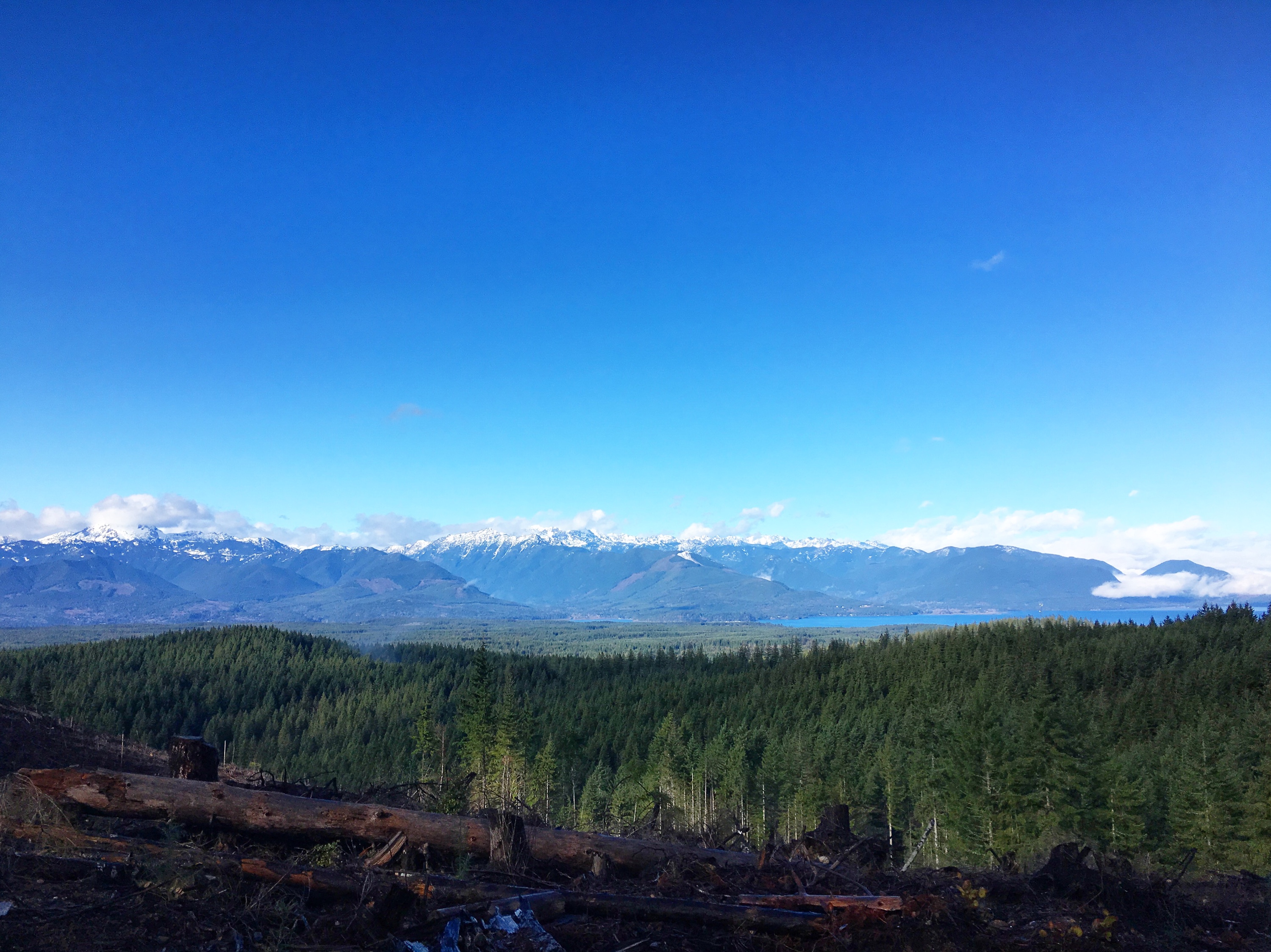 image_539639229974583