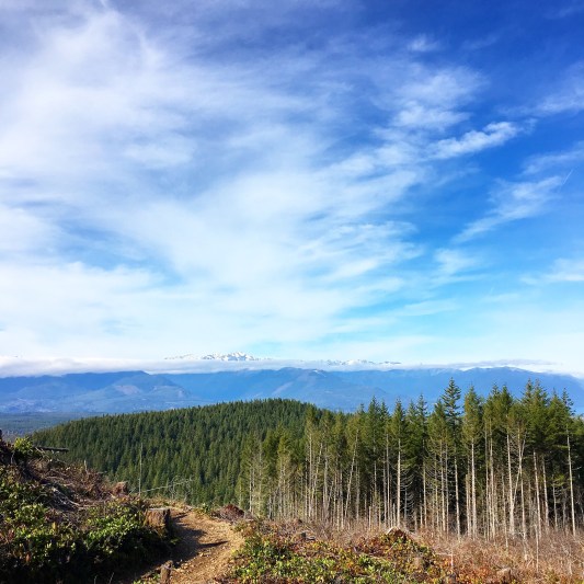 image_540337170091955