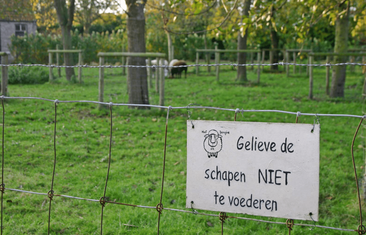 Screen Shot 2019-09-02 at 4.40.27 PM.png